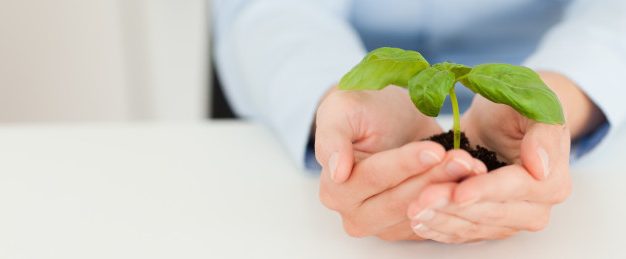 woman-holding-little-plant_13339-217713